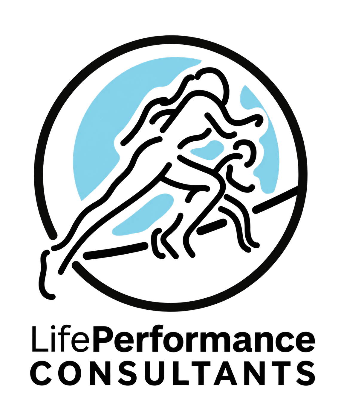 LifePerformance Consultants